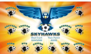 Hawks Soccer Team Banner - AYSO Hawks Banner - TeamsBanner