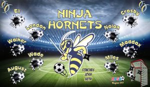 Hornets Soccer Team Banner - AYSO Hornets Banner - TeamsBanner