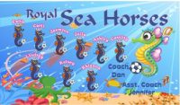 Horses Soccer Team Banner - AYSO Horses Banner - TeamsBanner