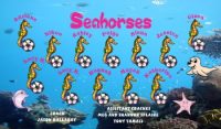 Horses Soccer Team Banner - AYSO Horses Banner - TeamsBanner