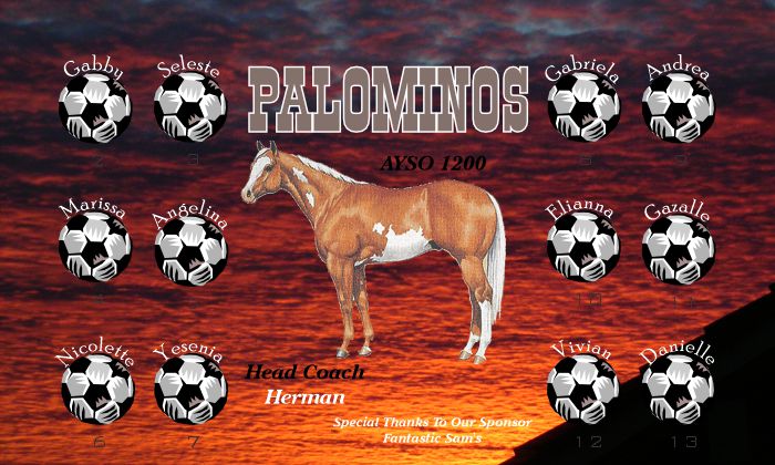 Horses Soccer Team Banner - AYSO Horses Banner - TeamsBanner