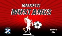 Horses Soccer Team Banner - AYSO Horses Banner - TeamsBanner
