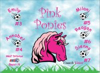 Horses Soccer Team Banner - AYSO Horses Banner - TeamsBanner