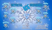 Ice Soccer Team Banner - AYSO Ice Banner - TeamsBanner
