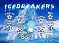 Ice Soccer Team Banner - AYSO Ice Banner - TeamsBanner