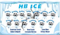 Ice Soccer Team Banner - AYSO Ice Banner - TeamsBanner