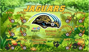 Jaguars Soccer Team Banner - AYSO Jaguars Banner - TeamsBanner