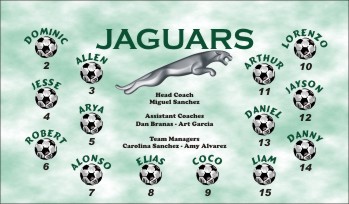 Jaguars Soccer Team Banner - AYSO Jaguars Banner - TeamsBanner