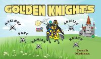 Knights Soccer Team Banner - AYSO Knights Banner - TeamsBanner