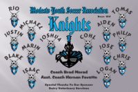 Knights Soccer Team Banner - AYSO Knights Banner - TeamsBanner