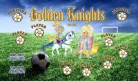 Knights Soccer Team Banner - AYSO Knights Banner - TeamsBanner