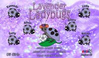 Ladybugs Soccer Team Banner - AYSO Ladybugs Banner - TeamsBanner