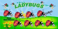 Ladybugs Soccer Team Banner - AYSO Ladybugs Banner - TeamsBanner