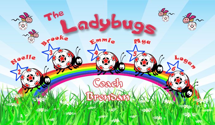 Ladybugs Soccer Team Banner - AYSO Ladybugs Banner - TeamsBanner