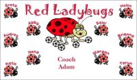 Ladybugs Soccer Team Banner - AYSO Ladybugs Banner - TeamsBanner
