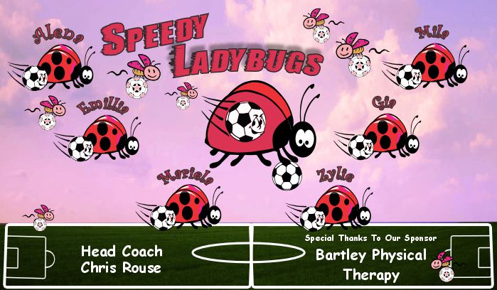 Ladybugs Soccer Team Banner - AYSO Ladybugs Banner - TeamsBanner
