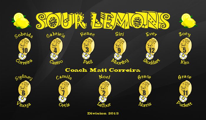 Lemons Soccer Team Banner - AYSO Lemons Banner - TeamsBanner