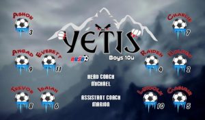 Any Team Soccer Team Banner - AYSO Miscellaneous Banner - TeamsBanner