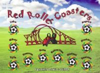 Any Team Soccer Team Banner - AYSO Miscellaneous Banner - TeamsBanner