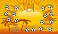Any Team Soccer Team Banner - AYSO Miscellaneous Banner - TeamsBanner