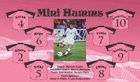 Any Team Soccer Team Banner - AYSO Miscellaneous Banner - TeamsBanner