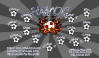 Any Team Soccer Team Banner - AYSO Miscellaneous Banner - TeamsBanner