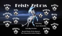 Any Team Soccer Team Banner - AYSO Miscellaneous Banner - TeamsBanner
