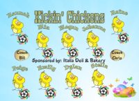 Any Team Soccer Team Banner - AYSO Miscellaneous Banner - TeamsBanner