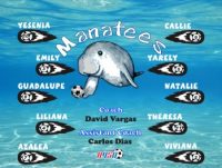 General Name Soccer Team Banner - AYSO Miscellaneous Banner - TeamsBanner