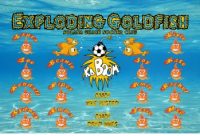 General Name Soccer Team Banner - AYSO Miscellaneous Banner - TeamsBanner