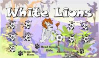 Lions Soccer Team Banner - AYSO Lions Banner - TeamsBanner
