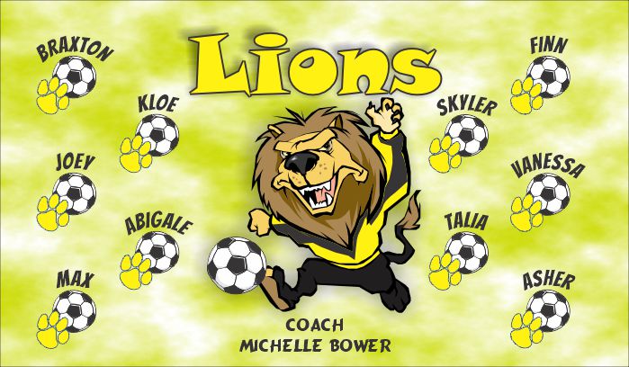 Lions Soccer Team Banner - AYSO Lions Banner - TeamsBanner