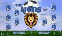 Lions Soccer Team Banner - AYSO Lions Banner - TeamsBanner