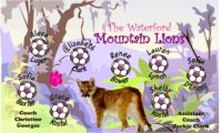 Lions Soccer Team Banner - AYSO Lions Banner - TeamsBanner