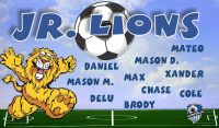 Lions Soccer Team Banner - AYSO Lions Banner - TeamsBanner
