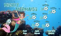 Mermaids Custom Soccer Banner Examples - AYSO Mermaids Banner - TeamsBanner
