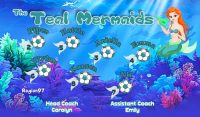 Mermaids Custom Soccer Banner Examples - AYSO Mermaids Banner - TeamsBanner