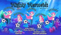 Mermaids Custom Soccer Banner Examples - AYSO Mermaids Banner - TeamsBanner