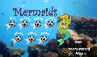 Mermaids Custom Soccer Banner Examples - AYSO Mermaids Banner - TeamsBanner