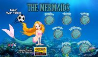 Mermaids Custom Soccer Banner Examples - AYSO Mermaids Banner - TeamsBanner