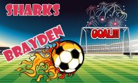 Mini Custom Soccer Banner Examples - AYSO Mini Banner - TeamsBanner
