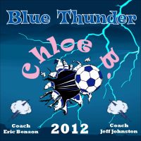 Mini Custom Soccer Banner Examples - AYSO Mini Banner - TeamsBanner