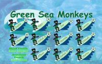 Monkeys Custom Soccer Banner Examples - AYSO Monkeys Banner - TeamsBanner