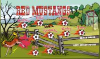 Mustangs Custom Soccer Banner Examples - AYSO Mustangs Banner - TeamsBanner
