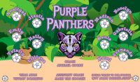 Panthers Custom Soccer Banner Examples - AYSO Panthers Banner - TeamsBanner