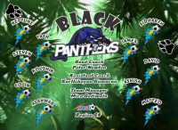 Panthers Custom Soccer Banner Examples - AYSO Panthers Banner - TeamsBanner