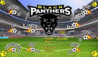 Panthers Custom Soccer Banner Examples - AYSO Panthers Banner - TeamsBanner