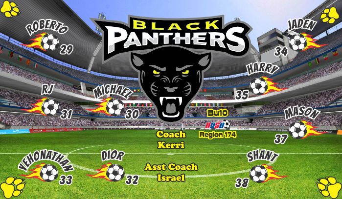 Panthers Custom Soccer Banner Examples - AYSO Panthers Banner - TeamsBanner