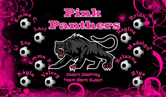 Panthers Custom Soccer Banner Examples - AYSO Panthers Banner - TeamsBanner