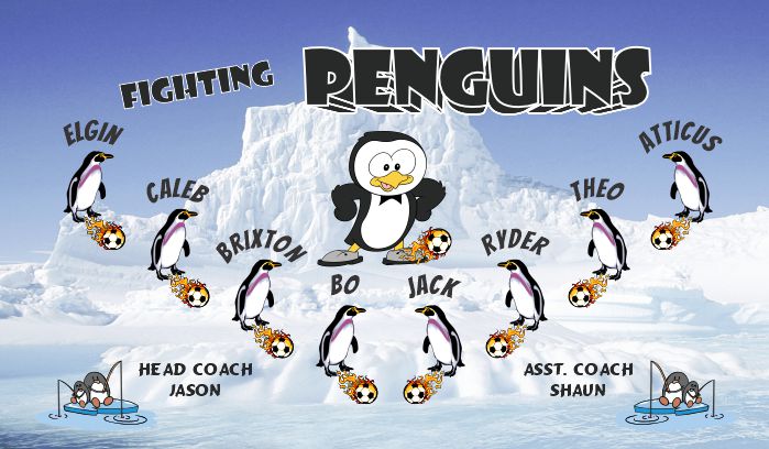 Penguins Custom Soccer Banner Examples - AYSO Penguins Banner - TeamsBanner